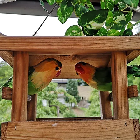 Urfter Hof Garni Kall