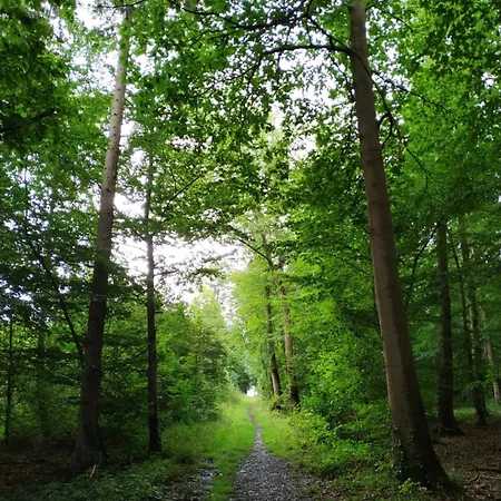 호텔 Urfter Hof Garni