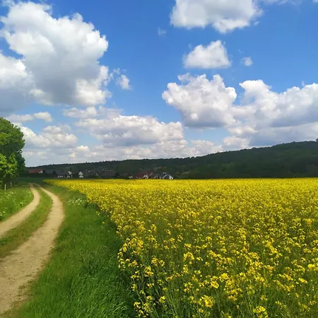 호텔 Urfter Hof Garni *