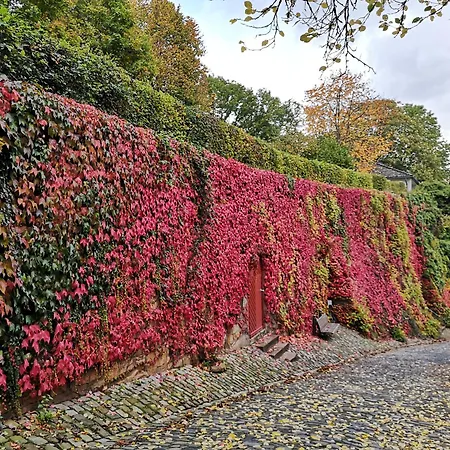 Urfter Hof Garni Отель Kall