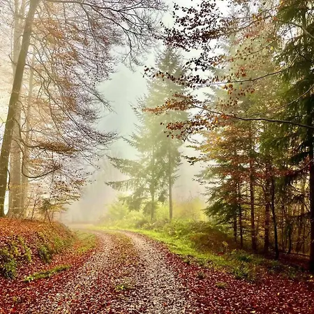 Urfter Hof Garni 호텔