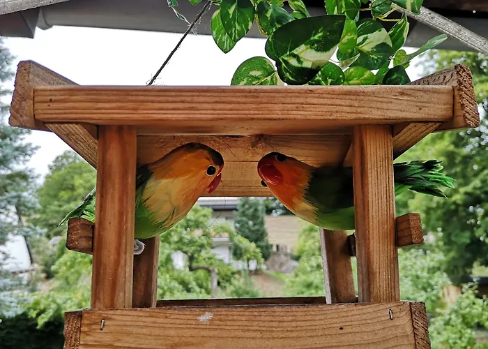 Urfter Hof Garni Kall