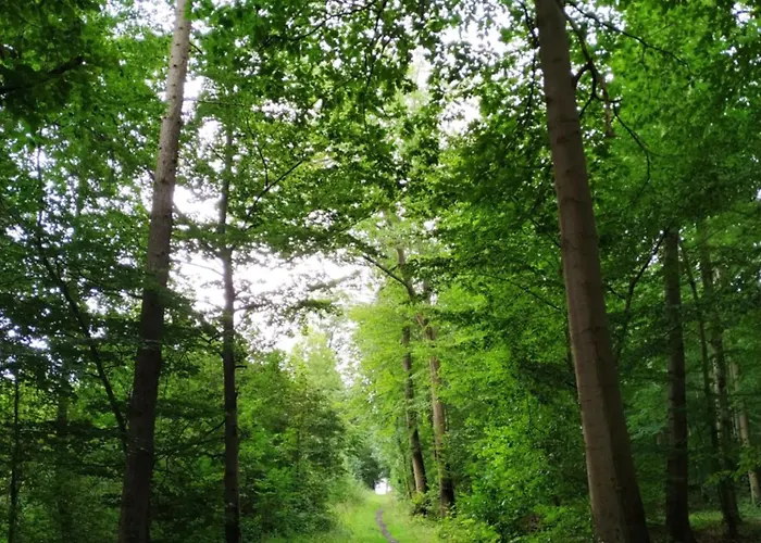 Hotel Urfter Hof Garni