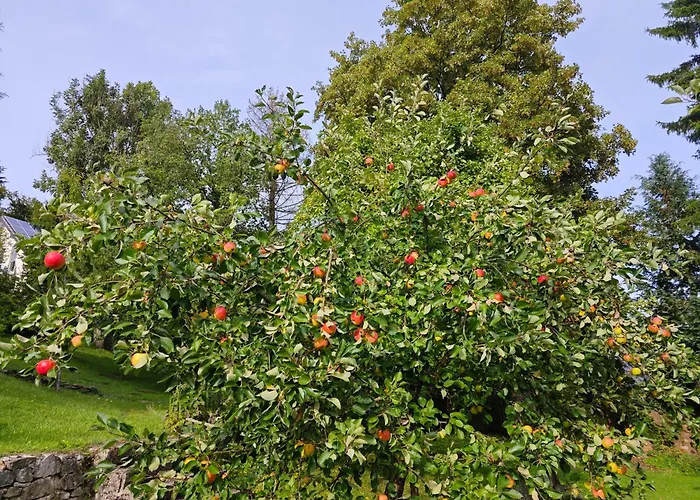 Urfter Hof Garni Hotel *