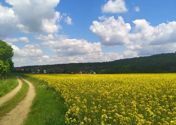 Hotel Urfter Hof Garni *